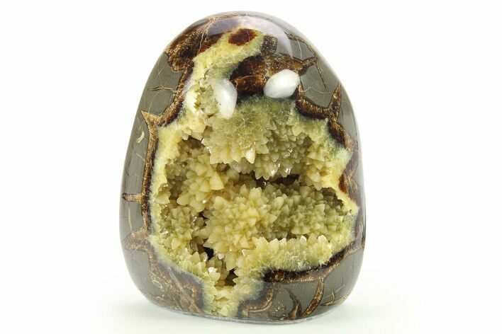 Polished, Crystal Filled Septarian Nodule - Utah #272917